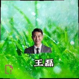 王磊